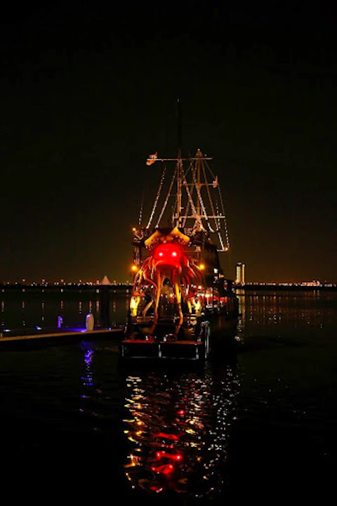 Black Pearl Themed Sightseeing Cruise